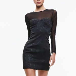 Alice + Olivia Takako Mesh Black Crew Neck Mini Dress